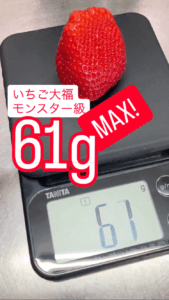 Thumbnail of post image 137