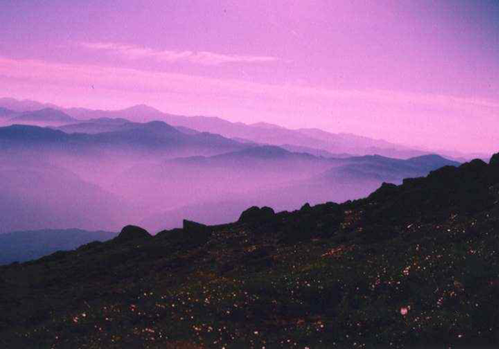 月夜の姥ヶ岳にて｜夜露に濡れる高山植物と原始雲海、朝日連峰を望む